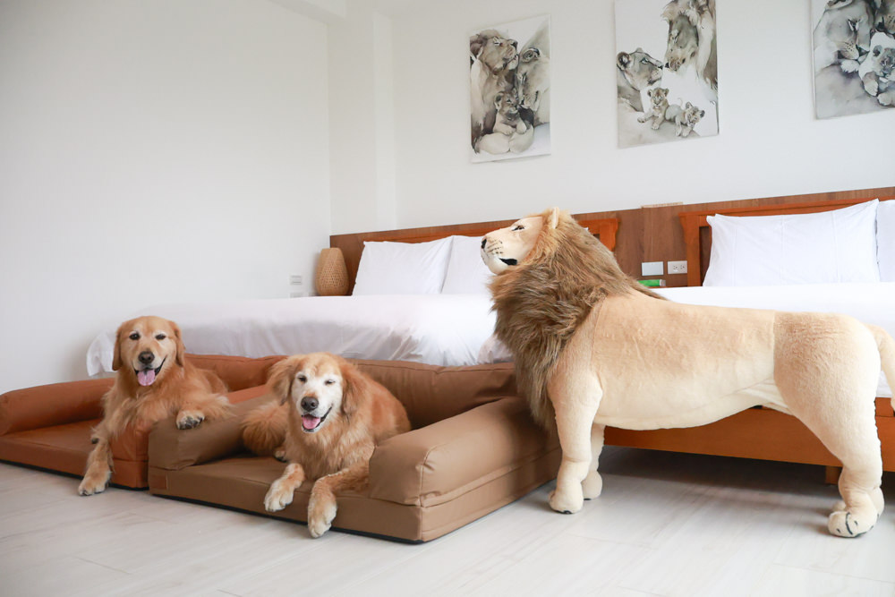 宜蘭壯圍生生園The Wild包棟民宿|森林系寵物友善民宿、動物園親子民宿、九宮格港點早餐 - 第49張圖 宜蘭壯圍生生園The Wild包棟民宿|森林系寵物友善民宿、動物園親子民宿、九宮格港點早餐