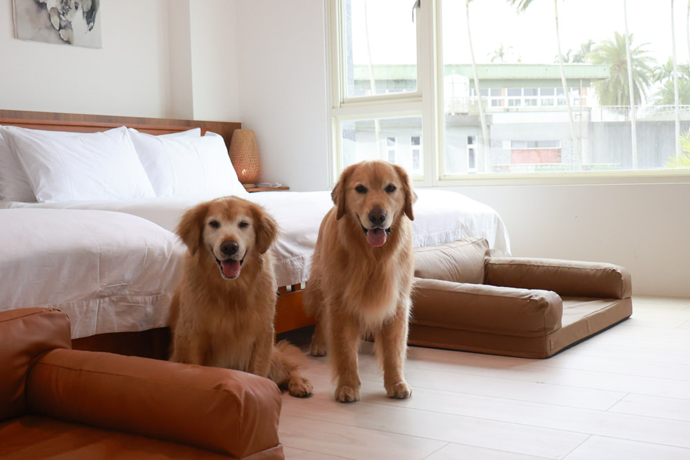 宜蘭壯圍生生園The Wild包棟民宿|森林系寵物友善民宿、動物園親子民宿、九宮格港點早餐 - 第50張圖 宜蘭壯圍生生園The Wild包棟民宿|森林系寵物友善民宿、動物園親子民宿、九宮格港點早餐