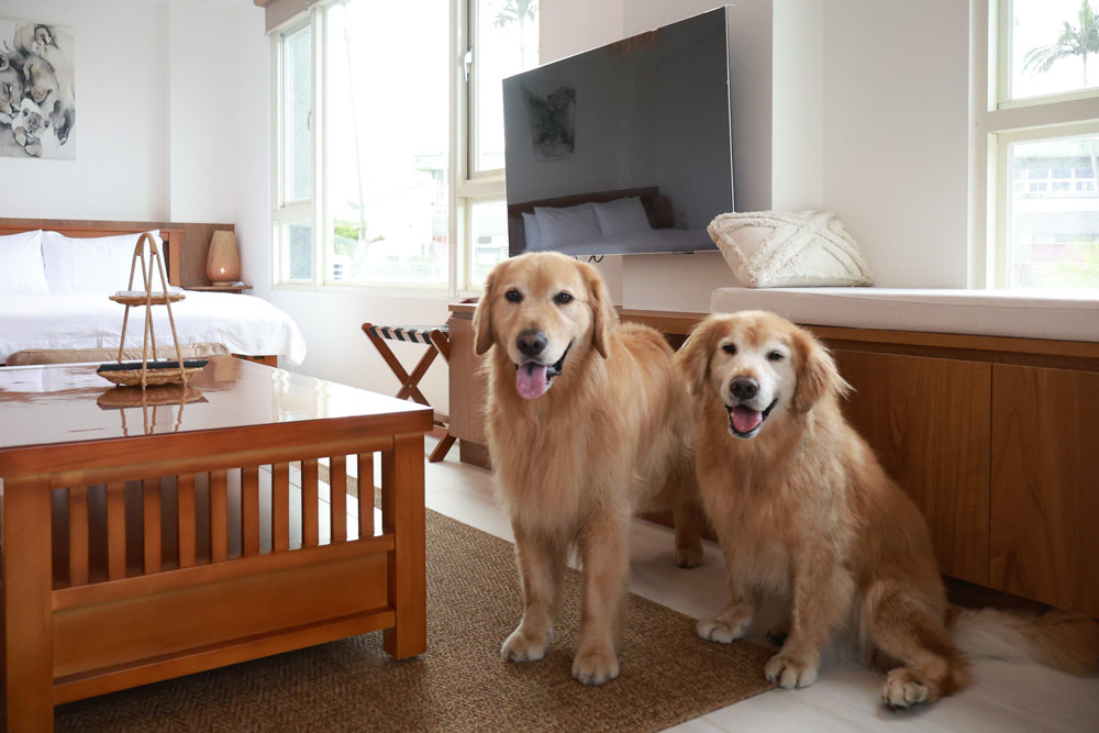 宜蘭壯圍生生園The Wild包棟民宿|森林系寵物友善民宿、動物園親子民宿、九宮格港點早餐 - 第52張圖 宜蘭壯圍生生園The Wild包棟民宿|森林系寵物友善民宿、動物園親子民宿、九宮格港點早餐
