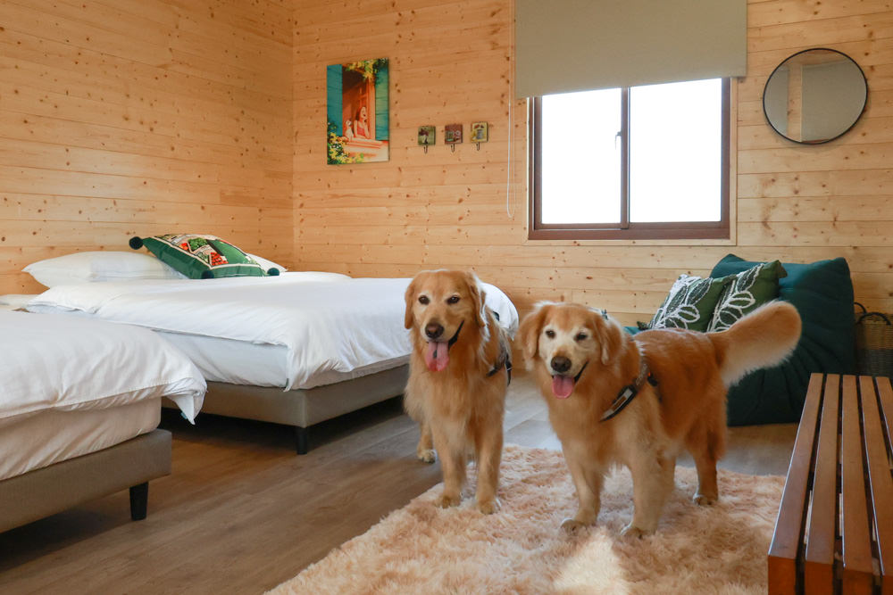 苗栗銅鑼99之6莊園包棟民宿｜充滿異國風情的寵物友善民宿、大草皮、樹屋、BBQ涼亭烤肉區