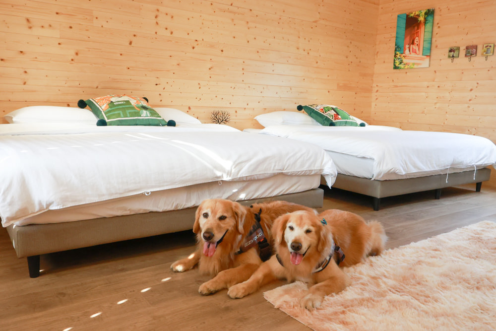 苗栗銅鑼99之6莊園包棟民宿｜充滿異國風情的寵物友善民宿、大草皮、樹屋、BBQ涼亭烤肉區