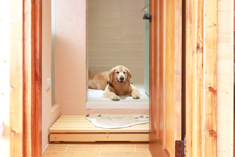 苗栗銅鑼99之6莊園包棟民宿｜充滿異國風情的寵物友善民宿、大草皮、樹屋、BBQ涼亭烤肉區