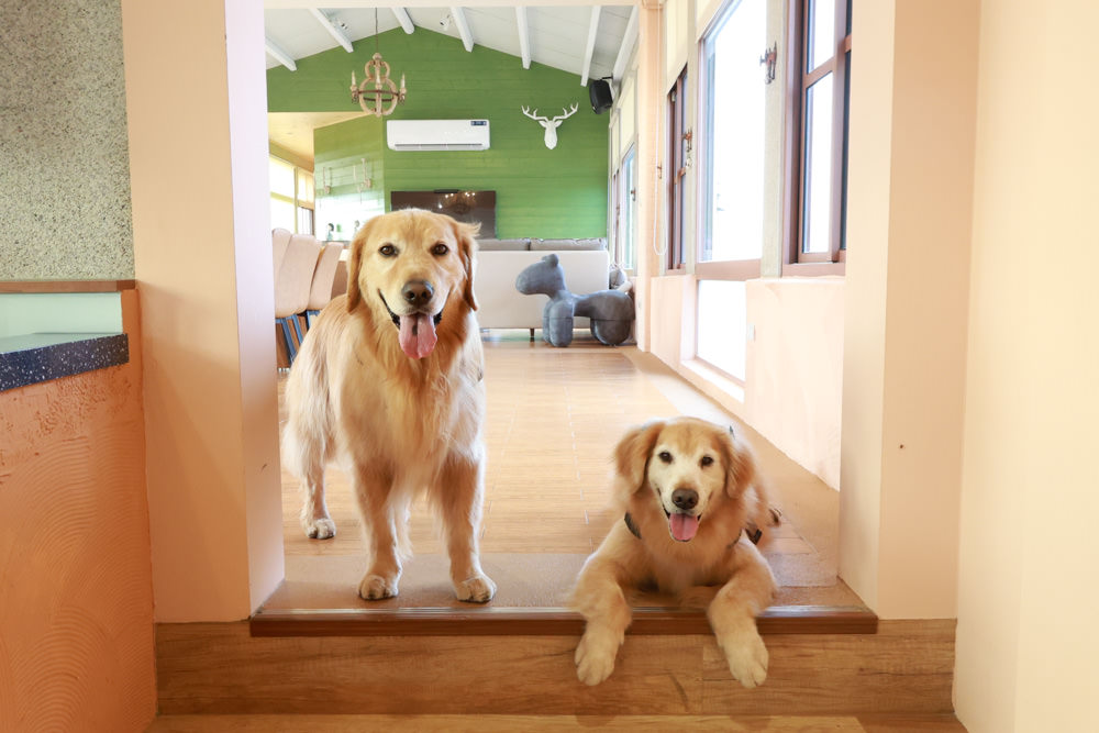 苗栗銅鑼99之6莊園包棟民宿｜充滿異國風情的寵物友善民宿、大草皮、樹屋、BBQ涼亭烤肉區