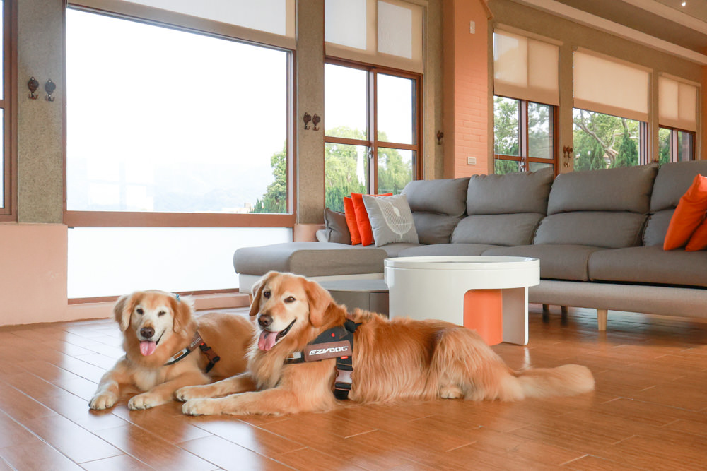 苗栗銅鑼99之6莊園包棟民宿｜充滿異國風情的寵物友善民宿、大草皮、樹屋、BBQ涼亭烤肉區