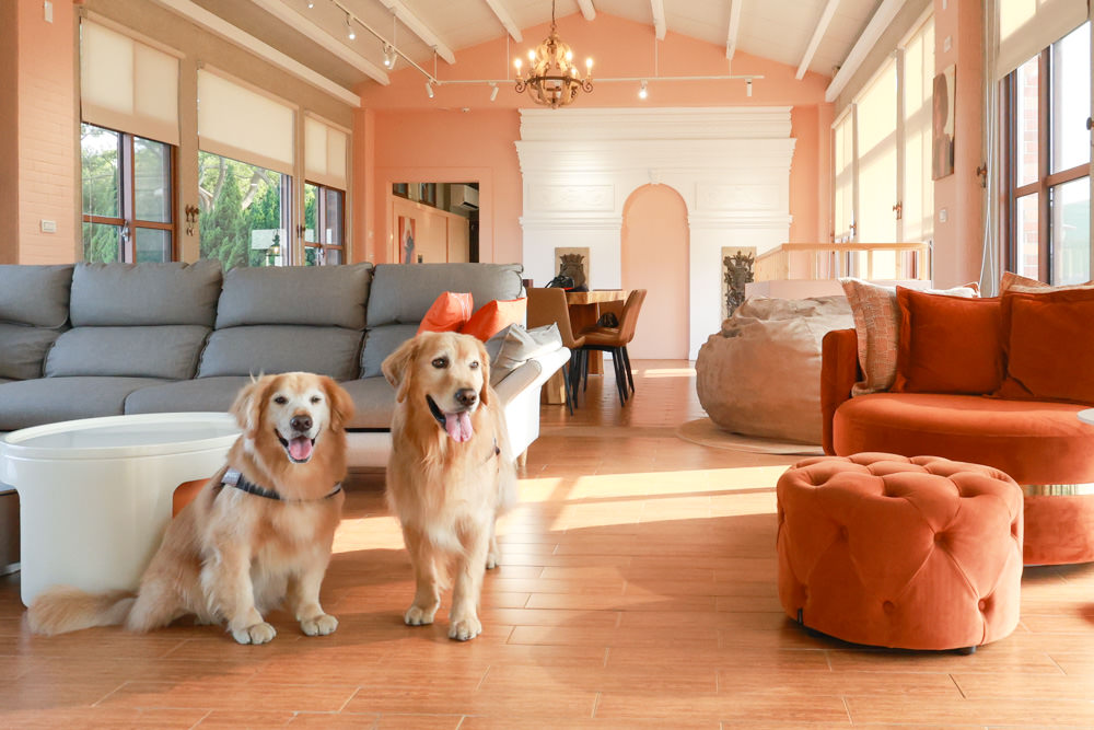 苗栗銅鑼99之6莊園包棟民宿｜充滿異國風情的寵物友善民宿、大草皮、樹屋、BBQ涼亭烤肉區