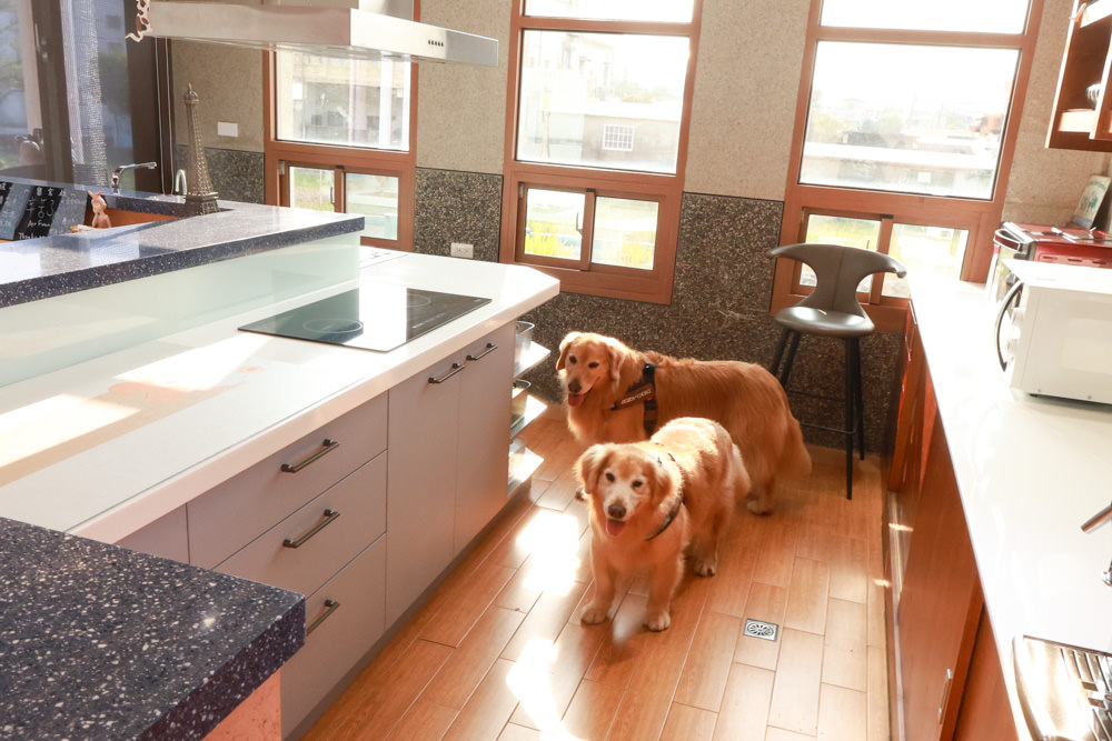 苗栗銅鑼99之6莊園包棟民宿｜充滿異國風情的寵物友善民宿、大草皮、樹屋、BBQ涼亭烤肉區