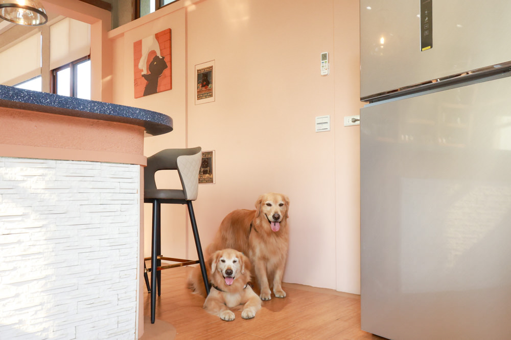 苗栗銅鑼99之6莊園包棟民宿｜充滿異國風情的寵物友善民宿、大草皮、樹屋、BBQ涼亭烤肉區