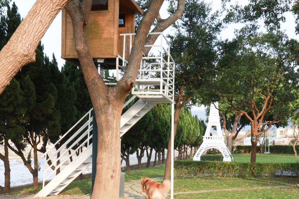 苗栗銅鑼99之6莊園包棟民宿｜充滿異國風情的寵物友善民宿、大草皮、樹屋、BBQ涼亭烤肉區