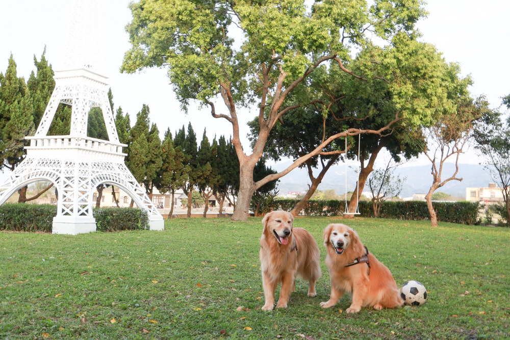 苗栗銅鑼99之6莊園包棟民宿｜充滿異國風情的寵物友善民宿、大草皮、樹屋、BBQ涼亭烤肉區
