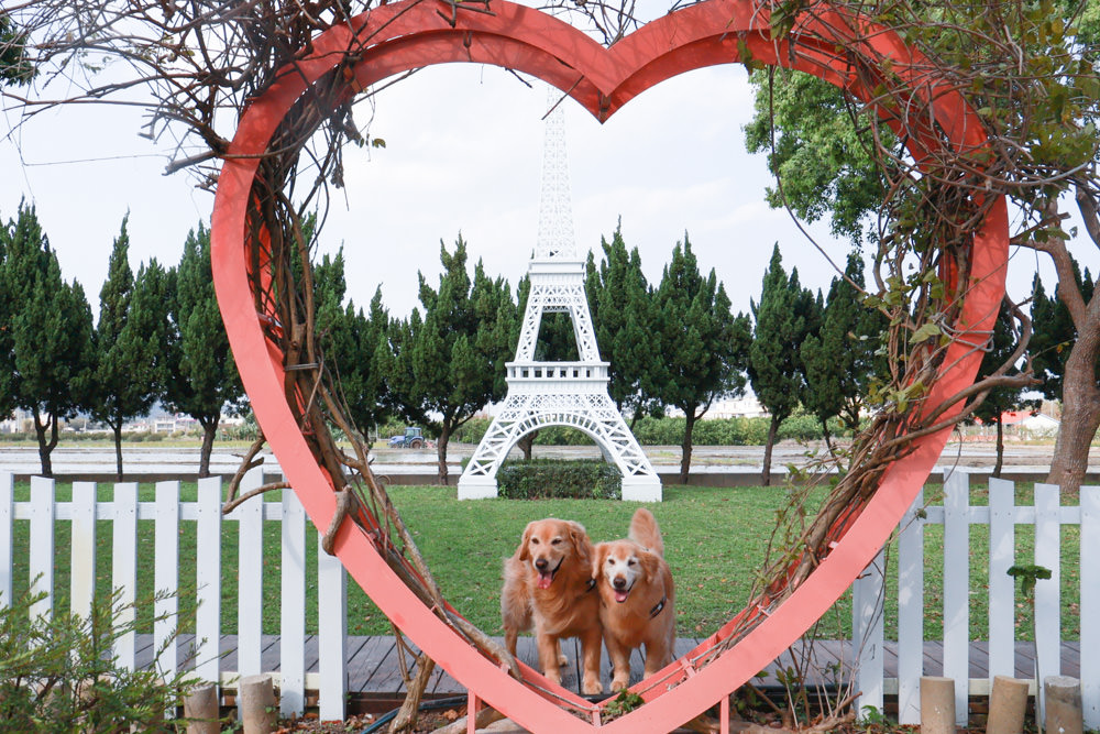苗栗銅鑼99之6莊園包棟民宿｜充滿異國風情的寵物友善民宿、大草皮、樹屋、BBQ涼亭烤肉區