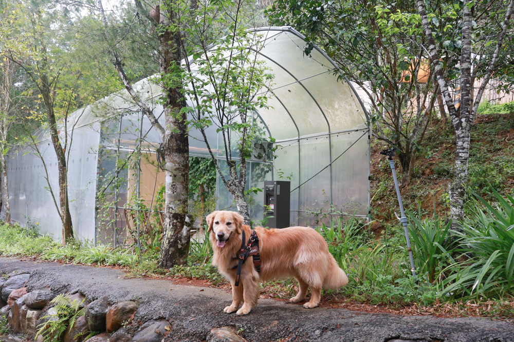 南投埔里民宿葉子祕境森林系Villa 。寵物友善民宿、偽豪華懶人露營、森林系民宿、鄰近日月潭、桃米生態村