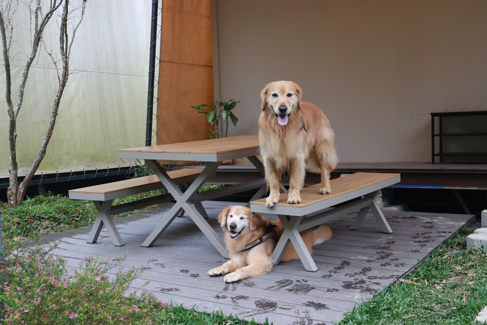 南投埔里民宿葉子祕境森林系Villa 。寵物友善民宿、偽豪華懶人露營、森林系民宿、鄰近日月潭、桃米生態村
