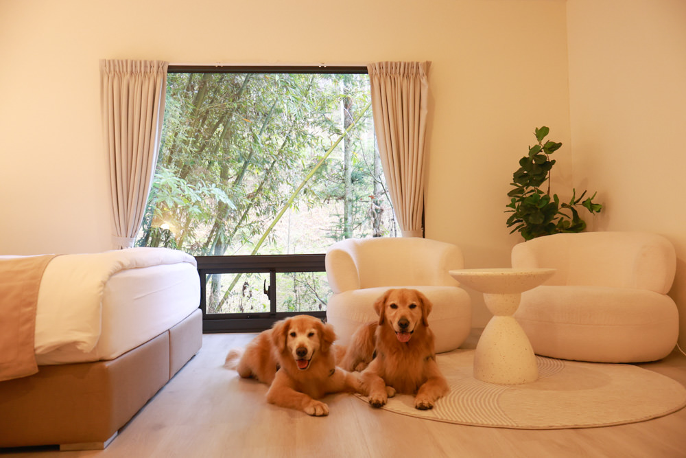 南投埔里民宿葉子祕境森林系Villa 。寵物友善民宿、偽豪華懶人露營、森林系民宿、鄰近日月潭、桃米生態村