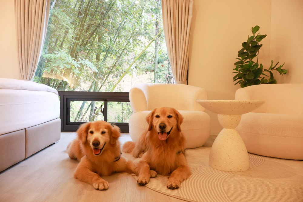 南投埔里民宿葉子祕境森林系Villa 。寵物友善民宿、偽豪華懶人露營、森林系民宿、鄰近日月潭、桃米生態村