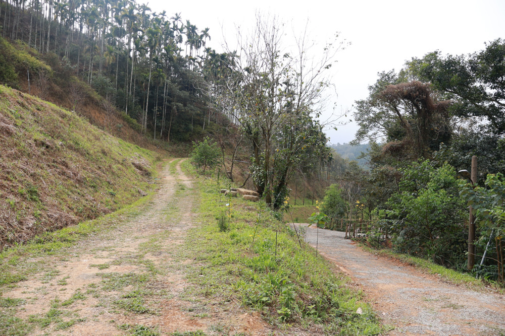 南投埔里民宿葉子祕境森林系Villa 。寵物友善民宿、偽豪華懶人露營、森林系民宿、鄰近日月潭、桃米生態村