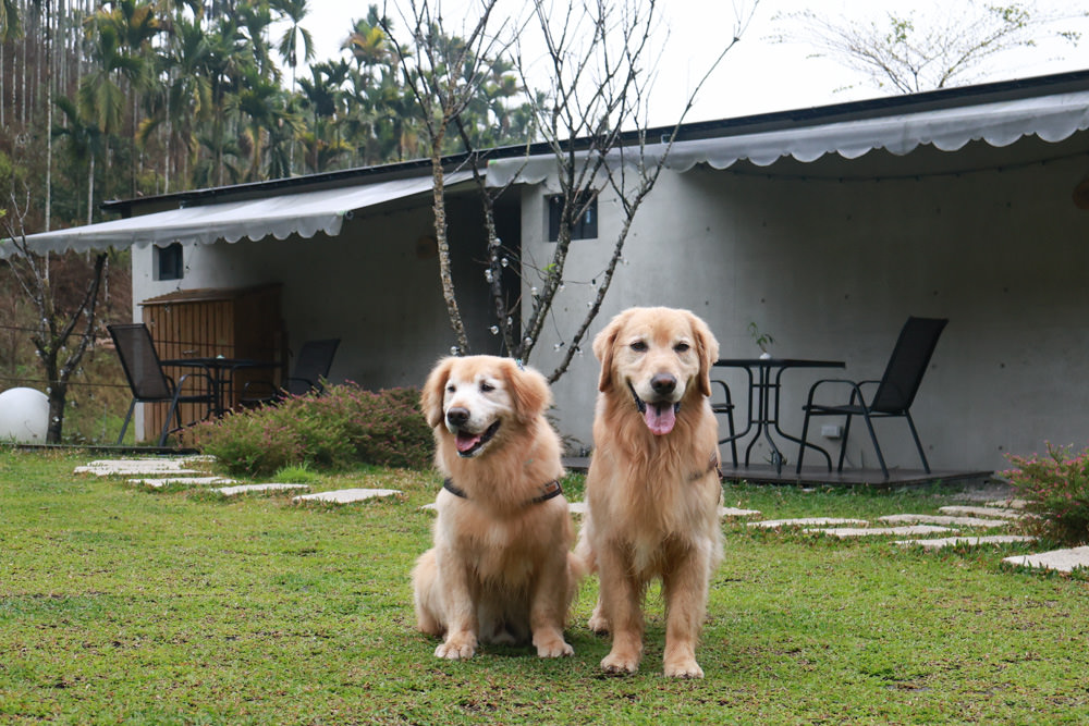 南投埔里民宿葉子祕境森林系Villa 。寵物友善民宿、偽豪華懶人露營、森林系民宿、鄰近日月潭、桃米生態村