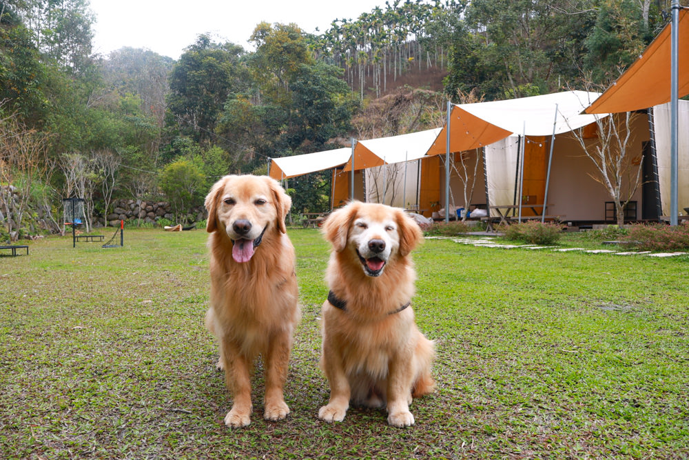 南投埔里民宿葉子祕境森林系Villa 。寵物友善民宿、偽豪華懶人露營、森林系民宿、鄰近日月潭、桃米生態村