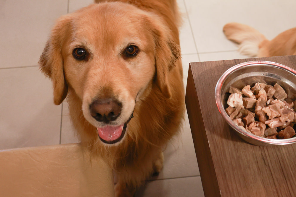 宜蘭美食｜麻辣囍室。宜蘭火鍋吃到飽、宮廷風和牛麻辣鴛鴦鍋、寵物友善餐廳、免費招待毛孩肉肉餐點
