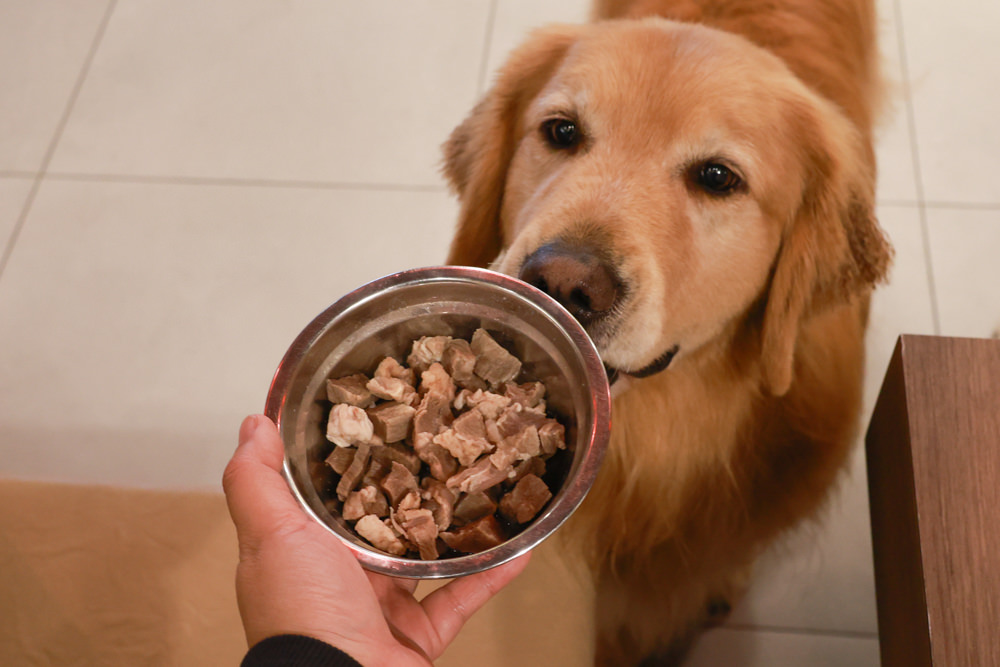 宜蘭美食｜麻辣囍室。宜蘭火鍋吃到飽、宮廷風和牛麻辣鴛鴦鍋、寵物友善餐廳、免費招待毛孩肉肉餐點