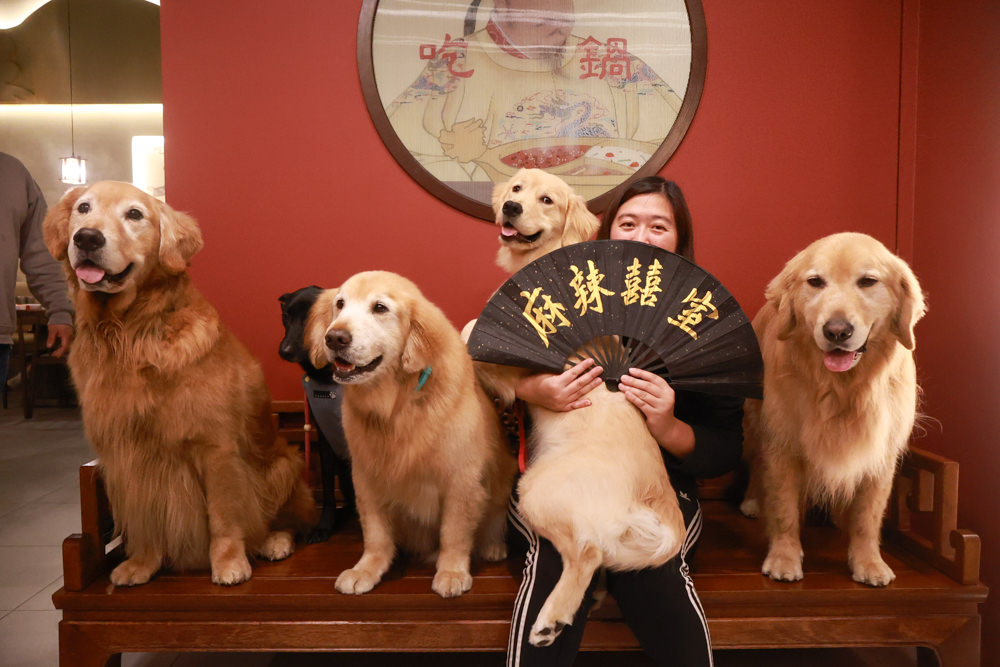 宜蘭美食｜麻辣囍室。宜蘭火鍋吃到飽、宮廷風和牛麻辣鴛鴦鍋、寵物友善餐廳、免費招待毛孩肉肉餐點