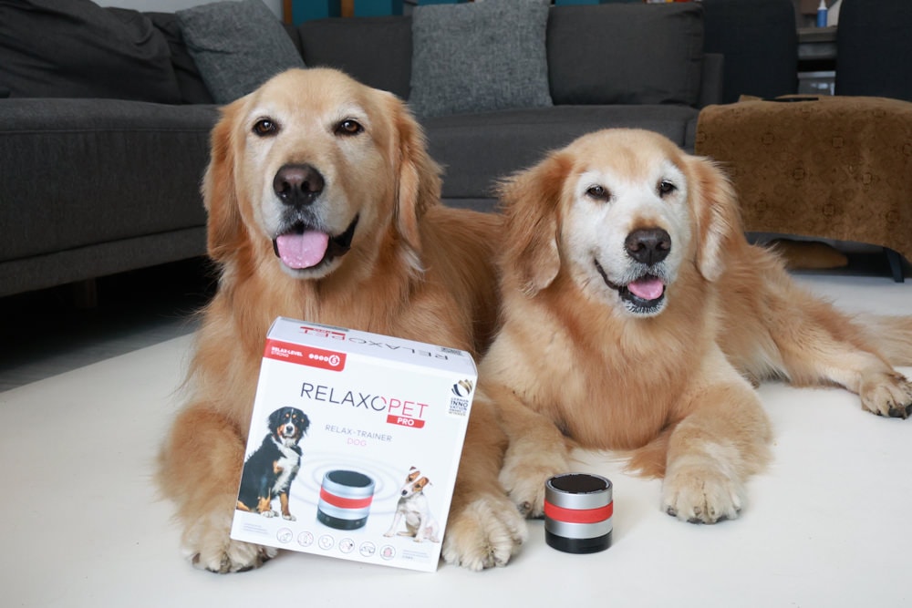 RelaxoPet pro 寵物安撫舒缓音響。自動監控環境音,幫助寵物情緒放鬆、減緩壓力、降低焦慮 - 第1張圖 RelaxoPet pro 寵物安撫舒缓音響。自動監控環境音,幫助寵物情緒放鬆、減緩壓力、降低焦慮