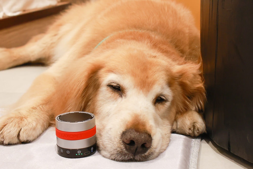 RelaxoPet pro 寵物安撫舒缓音響。自動監控環境音,幫助寵物情緒放鬆、減緩壓力、降低焦慮 - 第10張圖 RelaxoPet pro 寵物安撫舒缓音響。自動監控環境音,幫助寵物情緒放鬆、減緩壓力、降低焦慮