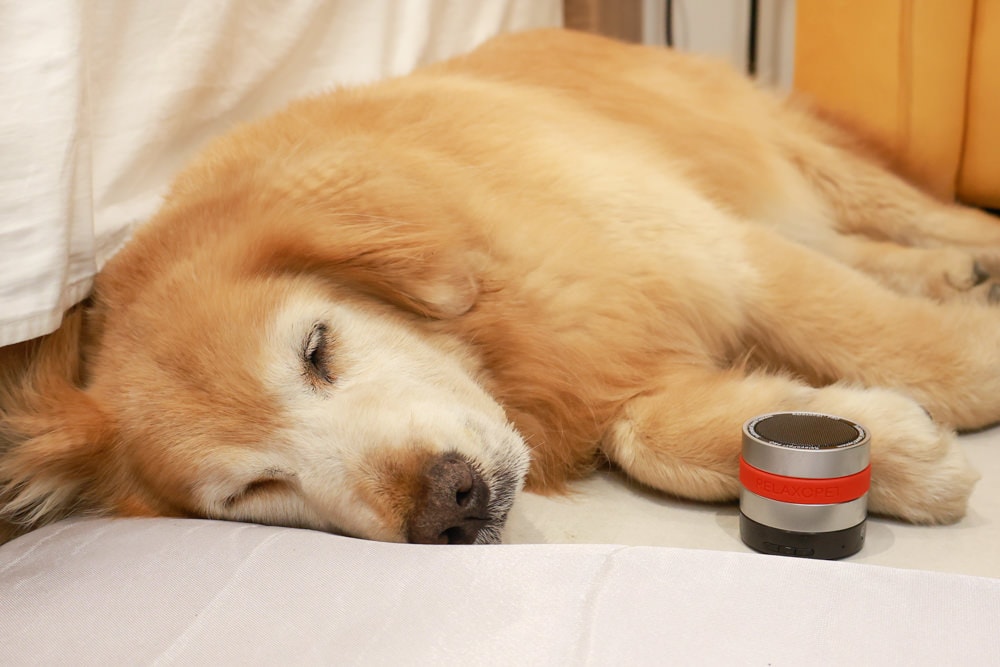 RelaxoPet pro 寵物安撫舒缓音響。自動監控環境音,幫助寵物情緒放鬆、減緩壓力、降低焦慮 - 第13張圖 RelaxoPet pro 寵物安撫舒缓音響。自動監控環境音,幫助寵物情緒放鬆、減緩壓力、降低焦慮