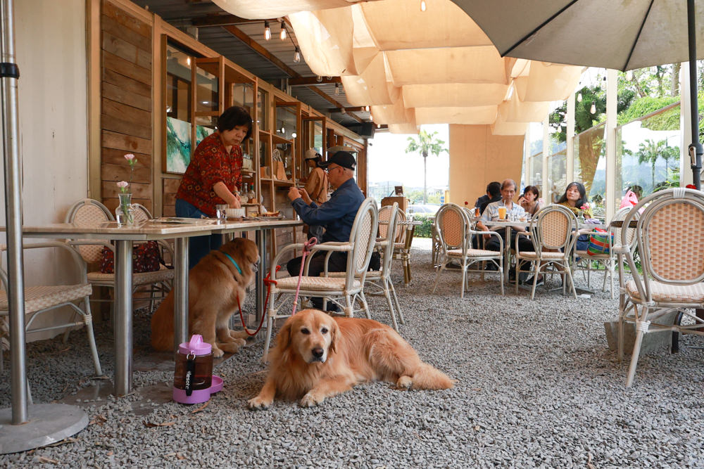 坪林美食|心茶合一TeaFlow坪林店。寵物友善、在茶園中享受早午餐、森林系咖啡廳、坪林景觀餐廳 - 第7張圖 坪林美食|心茶合一TeaFlow坪林店。寵物友善、在茶園中享受早午餐、森林系咖啡廳、坪林景觀餐廳