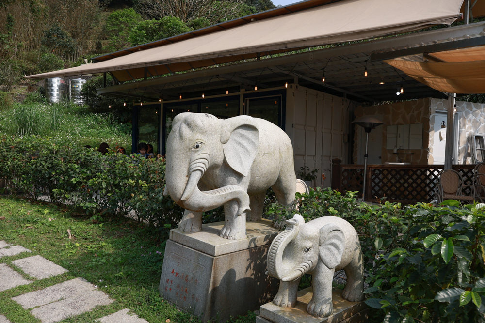 坪林美食|心茶合一TeaFlow坪林店。寵物友善、在茶園中享受早午餐、森林系咖啡廳、坪林景觀餐廳 - 第3張圖 坪林美食|心茶合一TeaFlow坪林店。寵物友善、在茶園中享受早午餐、森林系咖啡廳、坪林景觀餐廳