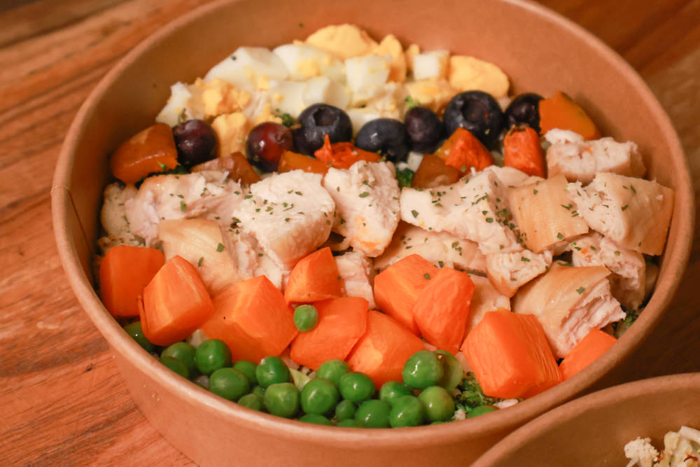 新店美食｜YARRA Cafe 澳式早午餐。寵物友善餐廳、新店咖啡廳、捷運小碧潭站、可以預訂寵物餐