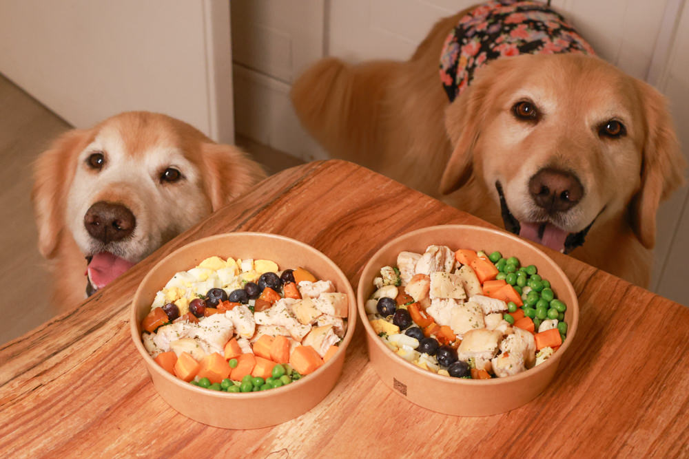 新店美食｜YARRA Cafe 澳式早午餐。寵物友善餐廳、新店咖啡廳、捷運小碧潭站、可以預訂寵物餐