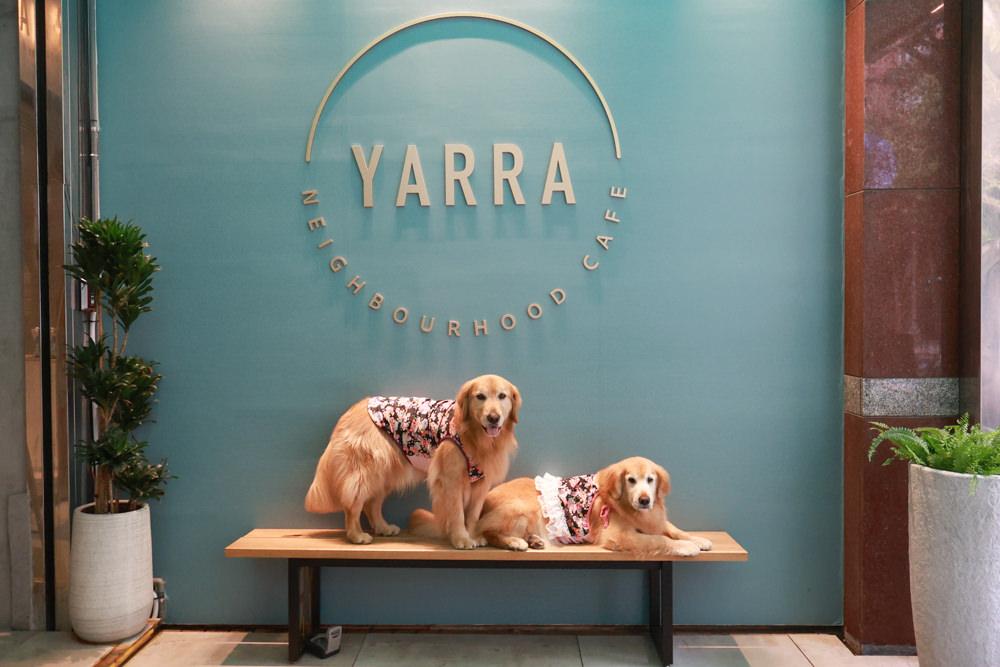 新店美食｜YARRA Cafe 澳式早午餐。寵物友善餐廳、新店咖啡廳、捷運小碧潭站、可以預訂寵物餐
