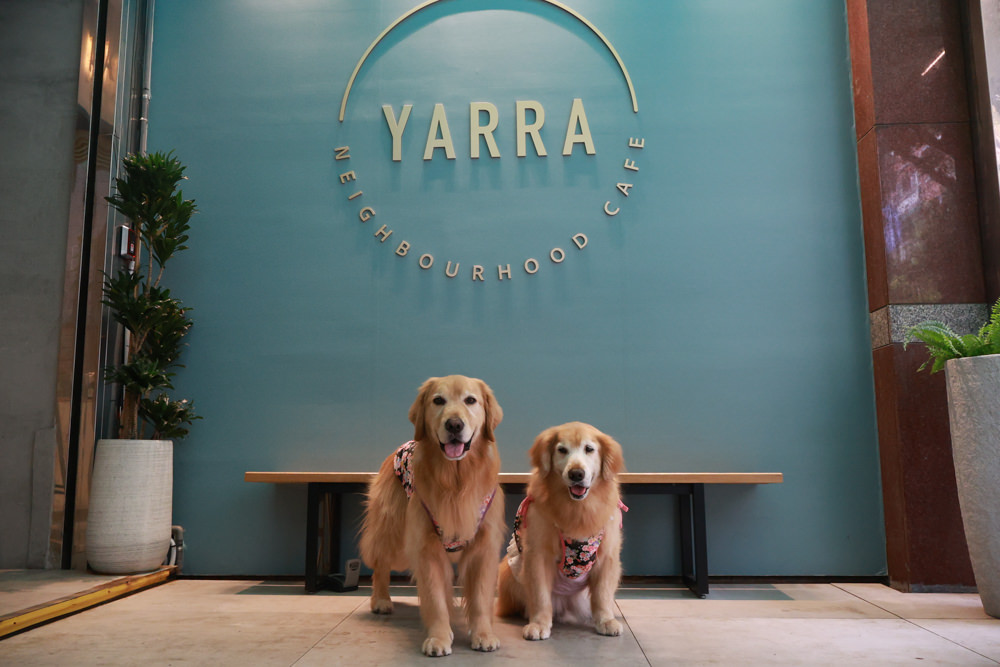 新店美食｜YARRA Cafe 澳式早午餐。寵物友善餐廳、新店咖啡廳、捷運小碧潭站、可以預訂寵物餐