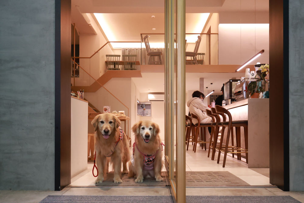 新店美食｜YARRA Cafe 澳式早午餐。寵物友善餐廳、新店咖啡廳、捷運小碧潭站、可以預訂寵物餐