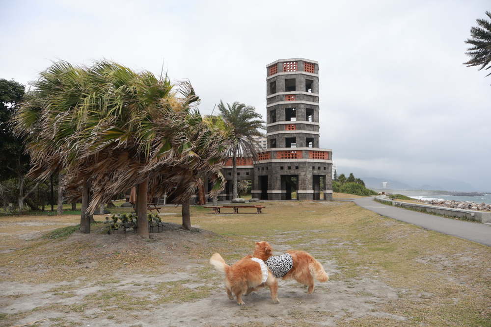 宜蘭頭城|有海真好咖啡。頭城濱海森林公園、頭城寵物友善餐廳、八角瞭望台旁無敵海景咖啡廳 - 第6張圖 宜蘭頭城|有海真好咖啡。頭城濱海森林公園、頭城寵物友善餐廳、八角瞭望台旁無敵海景咖啡廳