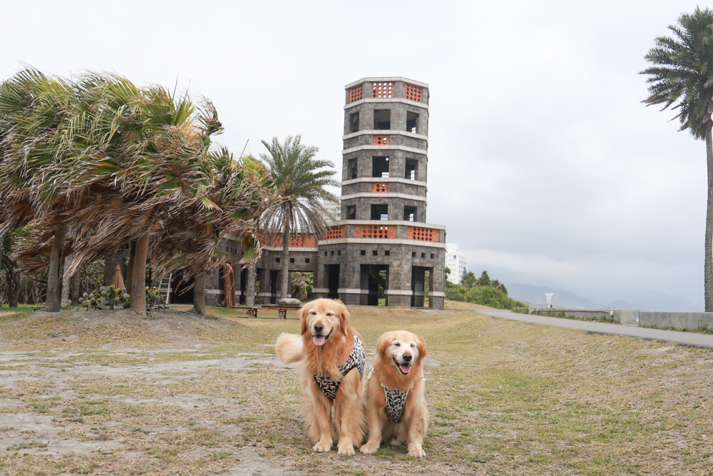 宜蘭頭城|有海真好咖啡。頭城濱海森林公園、頭城寵物友善餐廳、八角瞭望台旁無敵海景咖啡廳 - 第1張圖 宜蘭頭城|有海真好咖啡。頭城濱海森林公園、頭城寵物友善餐廳、八角瞭望台旁無敵海景咖啡廳
