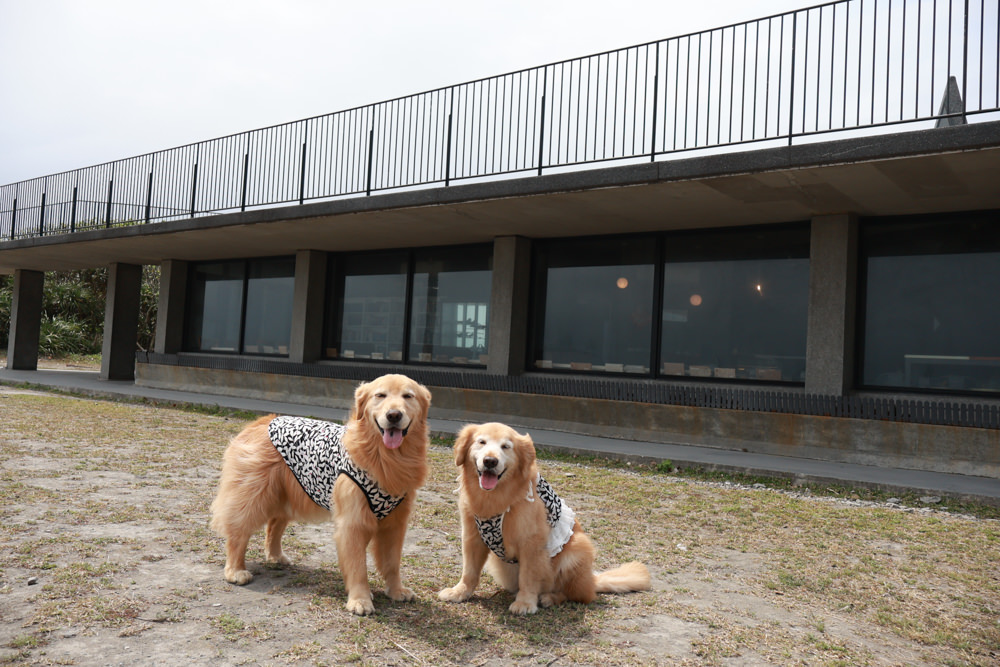 宜蘭頭城|有海真好咖啡。頭城濱海森林公園、頭城寵物友善餐廳、八角瞭望台旁無敵海景咖啡廳 - 第3張圖 宜蘭頭城|有海真好咖啡。頭城濱海森林公園、頭城寵物友善餐廳、八角瞭望台旁無敵海景咖啡廳