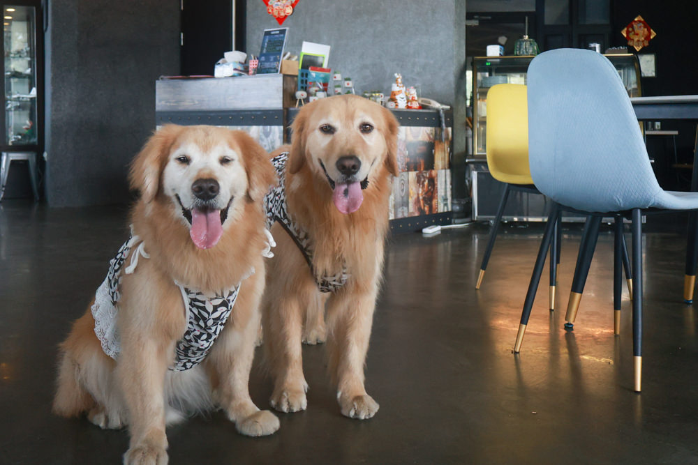 宜蘭頭城|有海真好咖啡。頭城濱海森林公園、頭城寵物友善餐廳、八角瞭望台旁無敵海景咖啡廳 - 第18張圖 宜蘭頭城|有海真好咖啡。頭城濱海森林公園、頭城寵物友善餐廳、八角瞭望台旁無敵海景咖啡廳