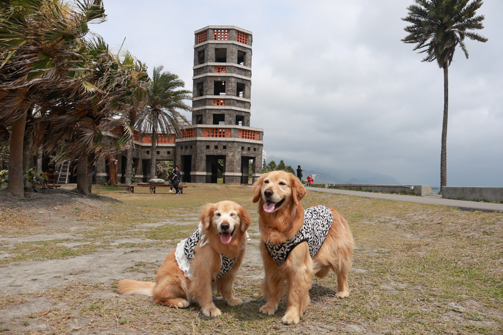 宜蘭頭城|有海真好咖啡。頭城濱海森林公園、頭城寵物友善餐廳、八角瞭望台旁無敵海景咖啡廳 - 第4張圖 宜蘭頭城|有海真好咖啡。頭城濱海森林公園、頭城寵物友善餐廳、八角瞭望台旁無敵海景咖啡廳