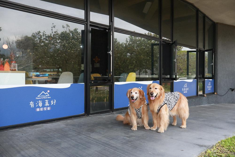 宜蘭頭城|有海真好咖啡。頭城濱海森林公園、頭城寵物友善餐廳、八角瞭望台旁無敵海景咖啡廳 - 第2張圖 宜蘭頭城|有海真好咖啡。頭城濱海森林公園、頭城寵物友善餐廳、八角瞭望台旁無敵海景咖啡廳