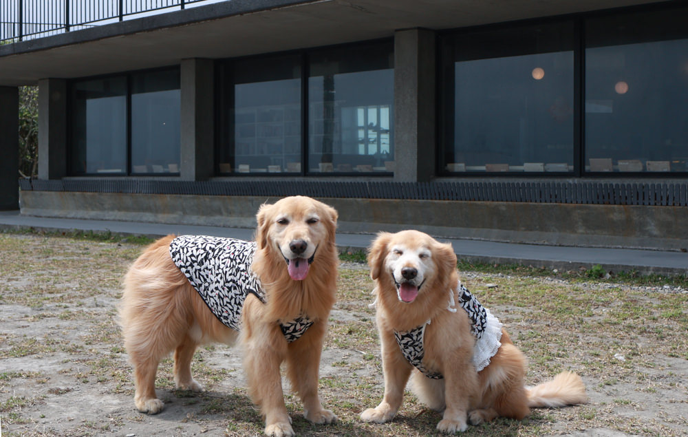 宜蘭頭城|有海真好咖啡。頭城濱海森林公園、頭城寵物友善餐廳、八角瞭望台旁無敵海景咖啡廳 - 第26張圖 宜蘭頭城|有海真好咖啡。頭城濱海森林公園、頭城寵物友善餐廳、八角瞭望台旁無敵海景咖啡廳