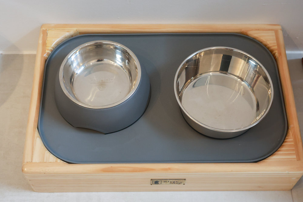 花蓮｜林小狗旅店Paw-some hostel。寵物友善民宿、鄰近東大門夜市、北濱公園、花蓮市區臨海民宿