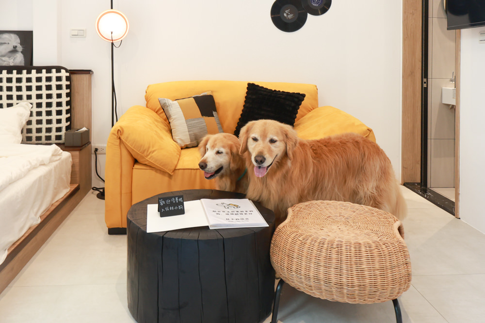 花蓮｜林小狗旅店Paw-some hostel。寵物友善民宿、鄰近東大門夜市、北濱公園、花蓮市區臨海民宿