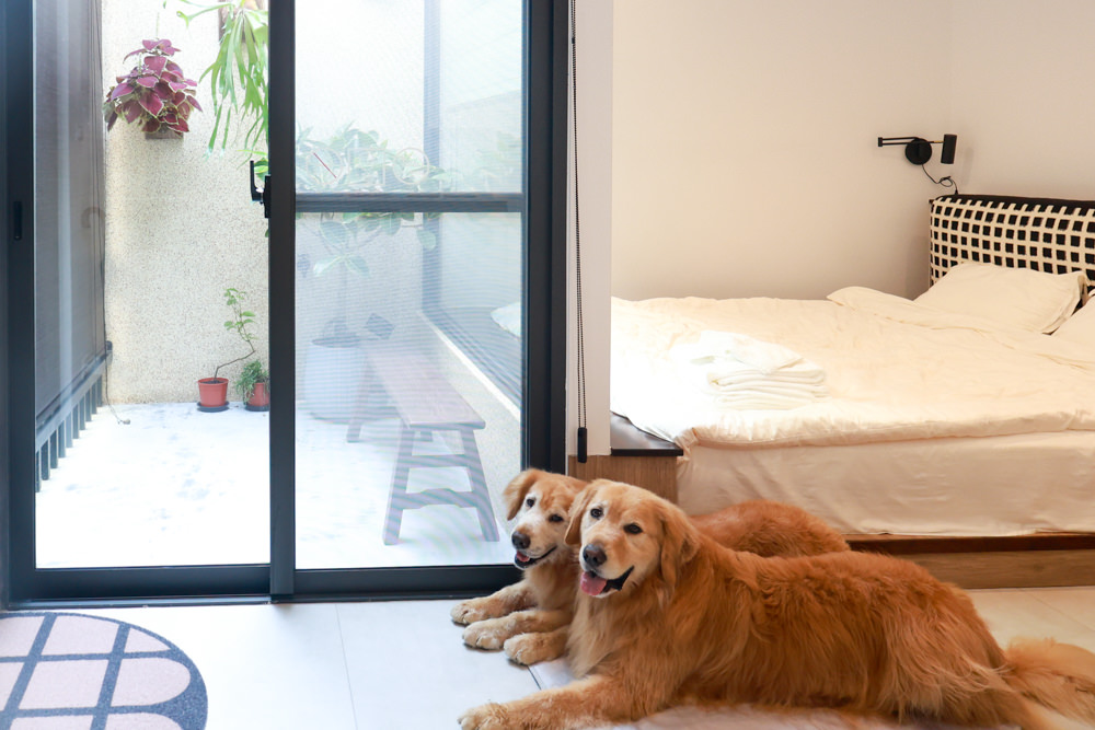 花蓮｜林小狗旅店Paw-some hostel。寵物友善民宿、鄰近東大門夜市、北濱公園、花蓮市區臨海民宿