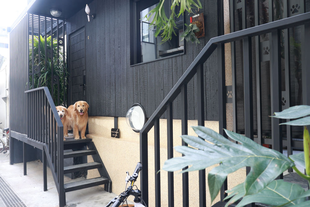 花蓮｜林小狗旅店Paw-some hostel。寵物友善民宿、鄰近東大門夜市、北濱公園、花蓮市區臨海民宿