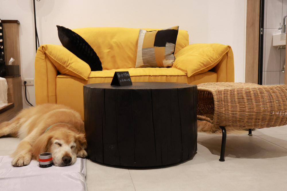 花蓮｜林小狗旅店Paw-some hostel。寵物友善民宿、鄰近東大門夜市、北濱公園、花蓮市區臨海民宿