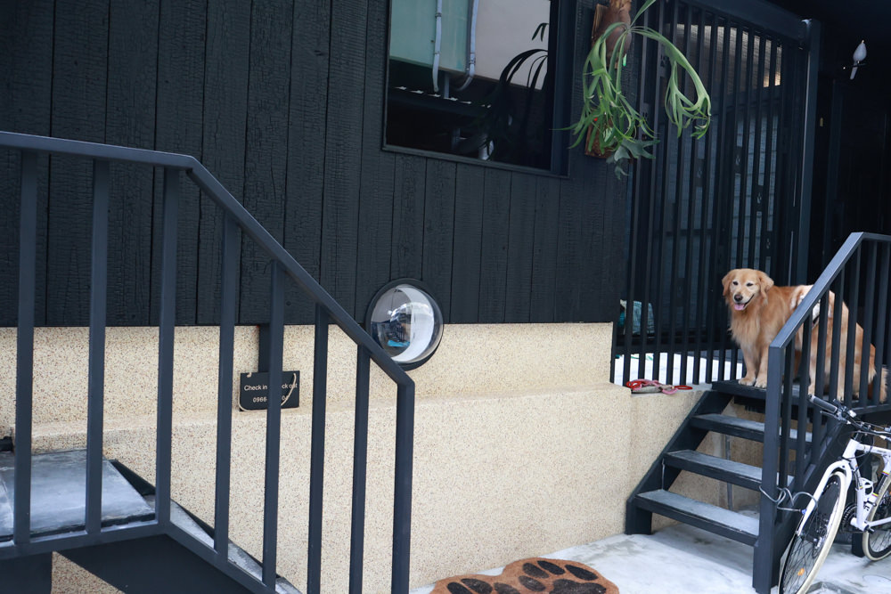 花蓮｜林小狗旅店Paw-some hostel。寵物友善民宿、鄰近東大門夜市、北濱公園、花蓮市區臨海民宿