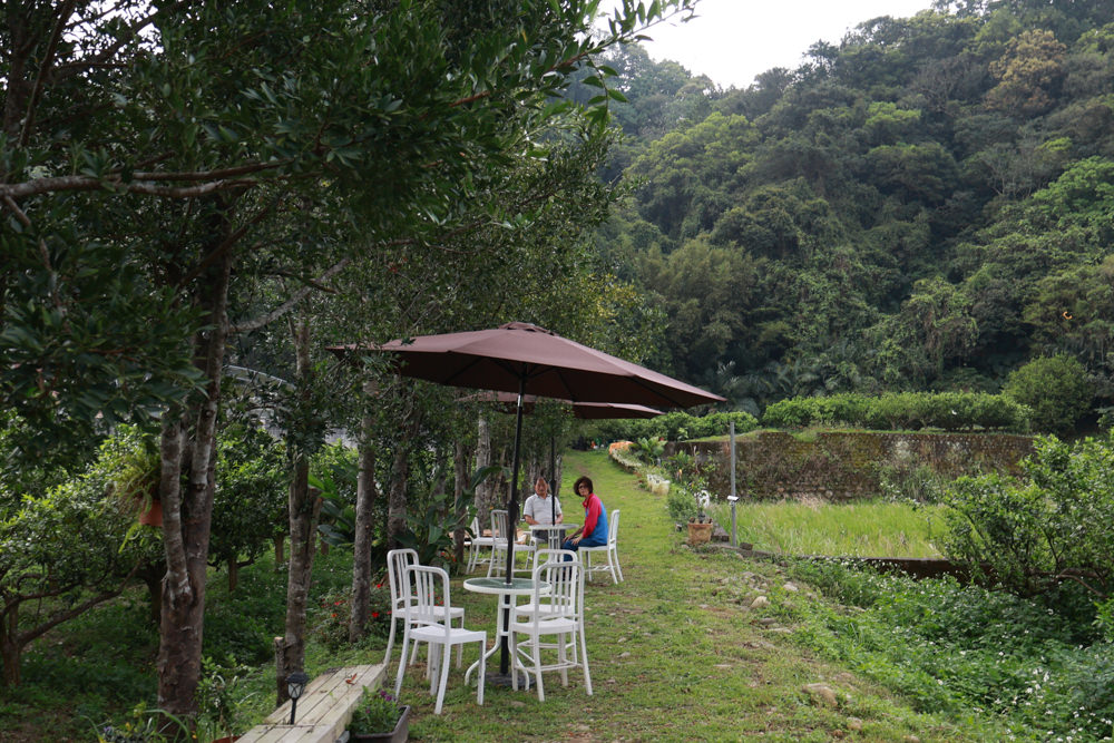 桃園龍潭咖啡廳|青山吉田。橘子園中的秘境廢墟風咖啡廳、寵物友善餐廳、預約制、桃園龍潭景點、冬天還有圍爐煮茶烤橘子 - 第10張圖 桃園龍潭咖啡廳|青山吉田。橘子園中的秘境廢墟風咖啡廳、寵物友善餐廳、預約制、桃園龍潭景點、冬天還有圍爐煮茶烤橘子