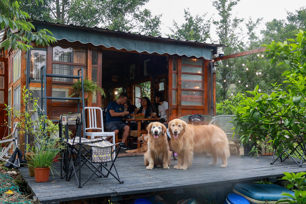 桃園龍潭咖啡廳|青山吉田。橘子園中的秘境廢墟風咖啡廳、寵物友善餐廳、預約制、桃園龍潭景點、冬天還有圍爐煮茶烤橘子 - 第19張圖 桃園龍潭咖啡廳|青山吉田。橘子園中的秘境廢墟風咖啡廳、寵物友善餐廳、預約制、桃園龍潭景點、冬天還有圍爐煮茶烤橘子