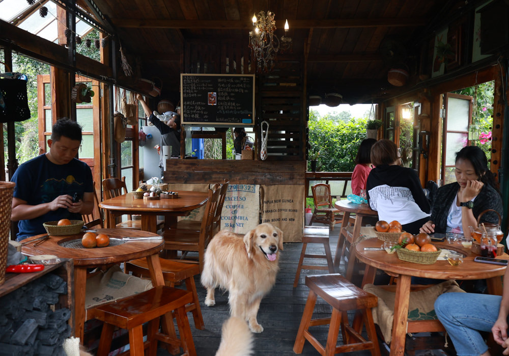 桃園龍潭咖啡廳|青山吉田。橘子園中的秘境廢墟風咖啡廳、寵物友善餐廳、預約制、桃園龍潭景點、冬天還有圍爐煮茶烤橘子 - 第15張圖 桃園龍潭咖啡廳|青山吉田。橘子園中的秘境廢墟風咖啡廳、寵物友善餐廳、預約制、桃園龍潭景點、冬天還有圍爐煮茶烤橘子